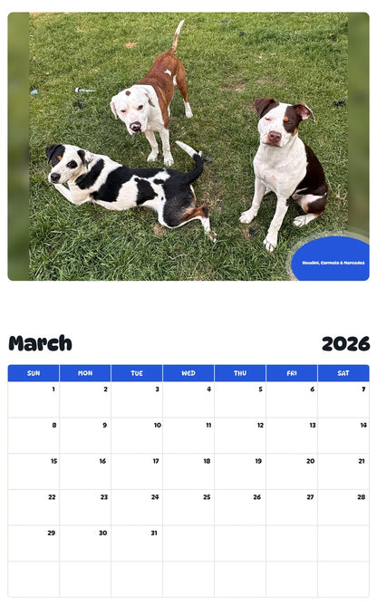 November 2025 - October 2026 Houdini, Carmela & Mercedes - Pawidols Pet Calendar