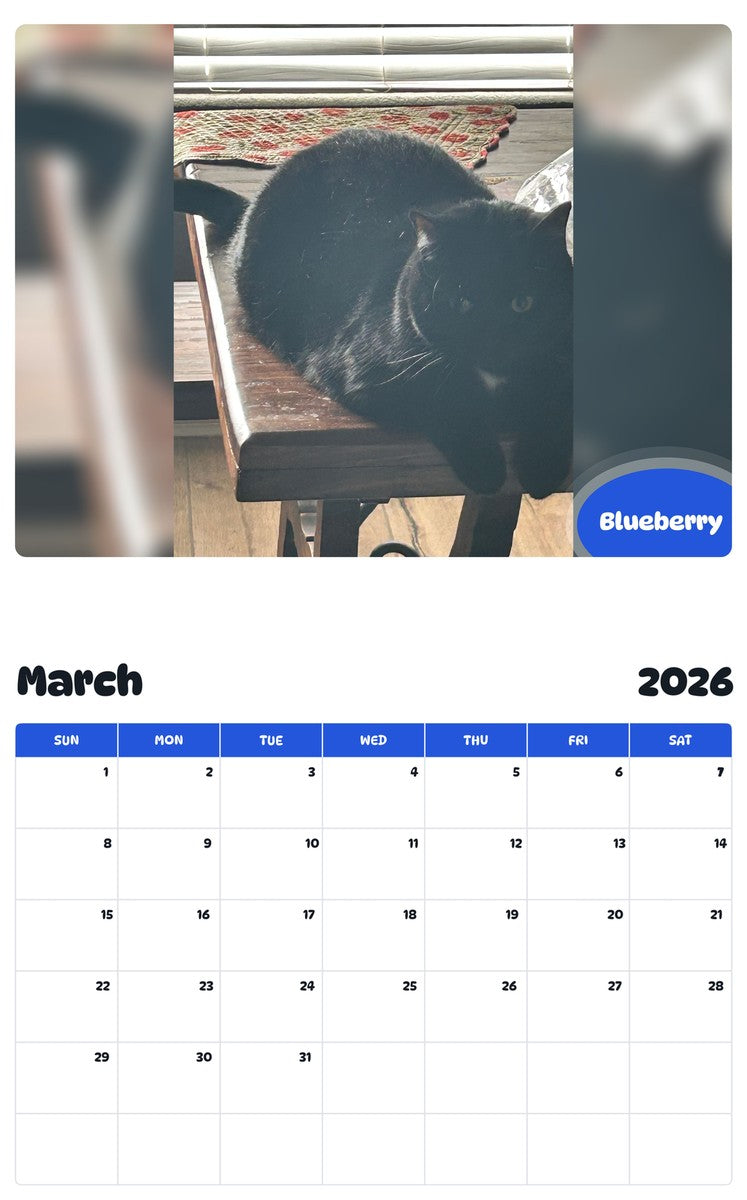 November 2025 - October 2026 Blueberry - Pawidols Pet Calendar