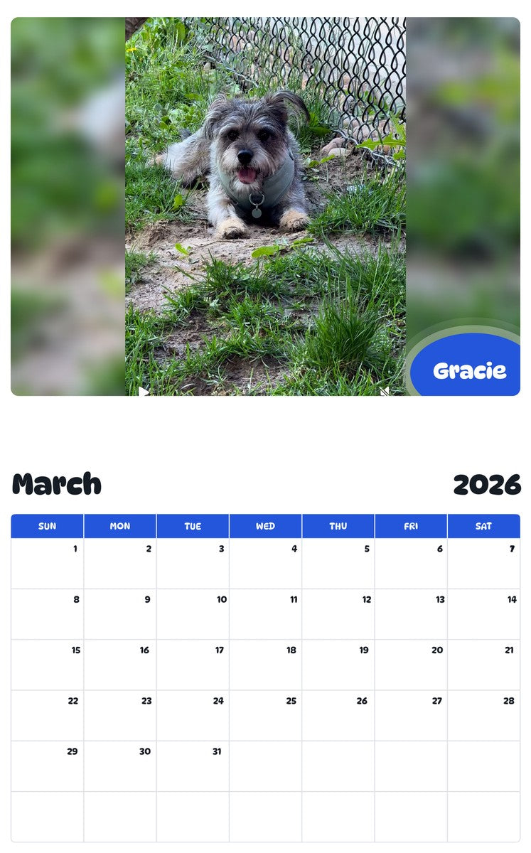 November 2025 - October 2026 Gracie - Pawidols Pet Calendar