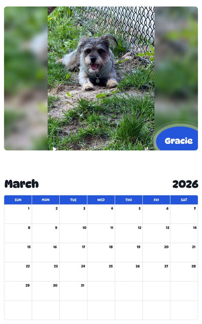 November 2025 - October 2026 Gracie - Pawidols Pet Calendar