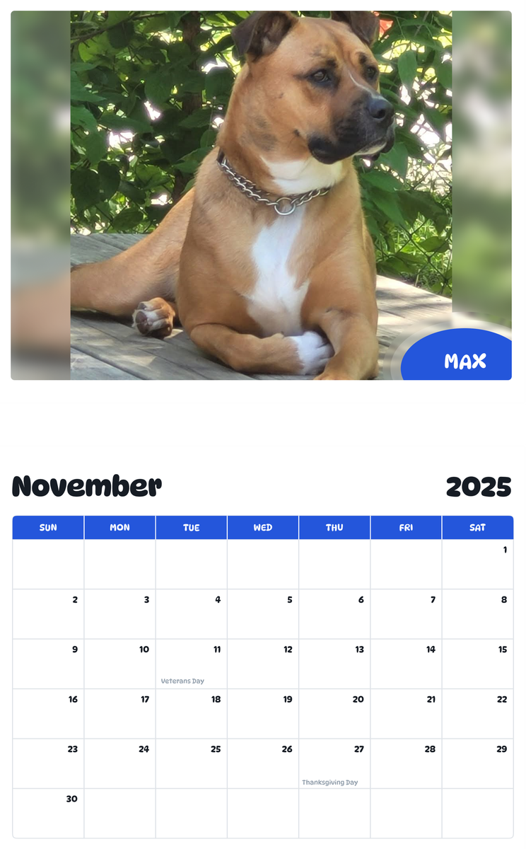 July 2025 - June 2026 Max - Pawidols Pet Calendar