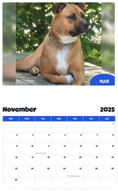 July 2025 - June 2026 Max - Pawidols Pet Calendar