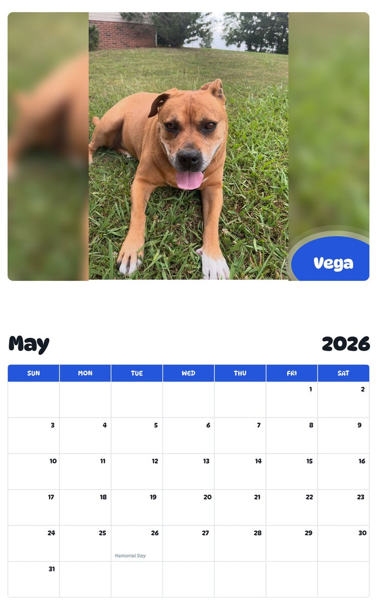 2026 - 2027 Vega - Pawidols Pet Calendar