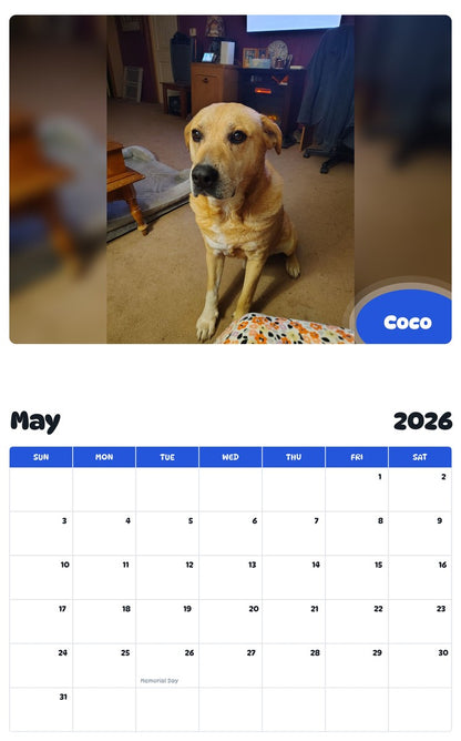 2026 - 2027 Coco - Pawidols Pet Calendar