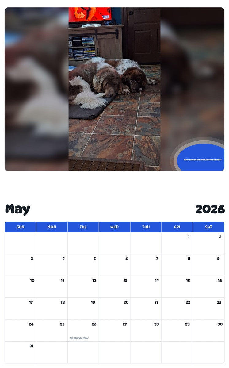 2026 - 2027 HENRY GRAYSON GRIZZ AND HARMONY GRACE GRIZZ - Pawidols Pet Calendar