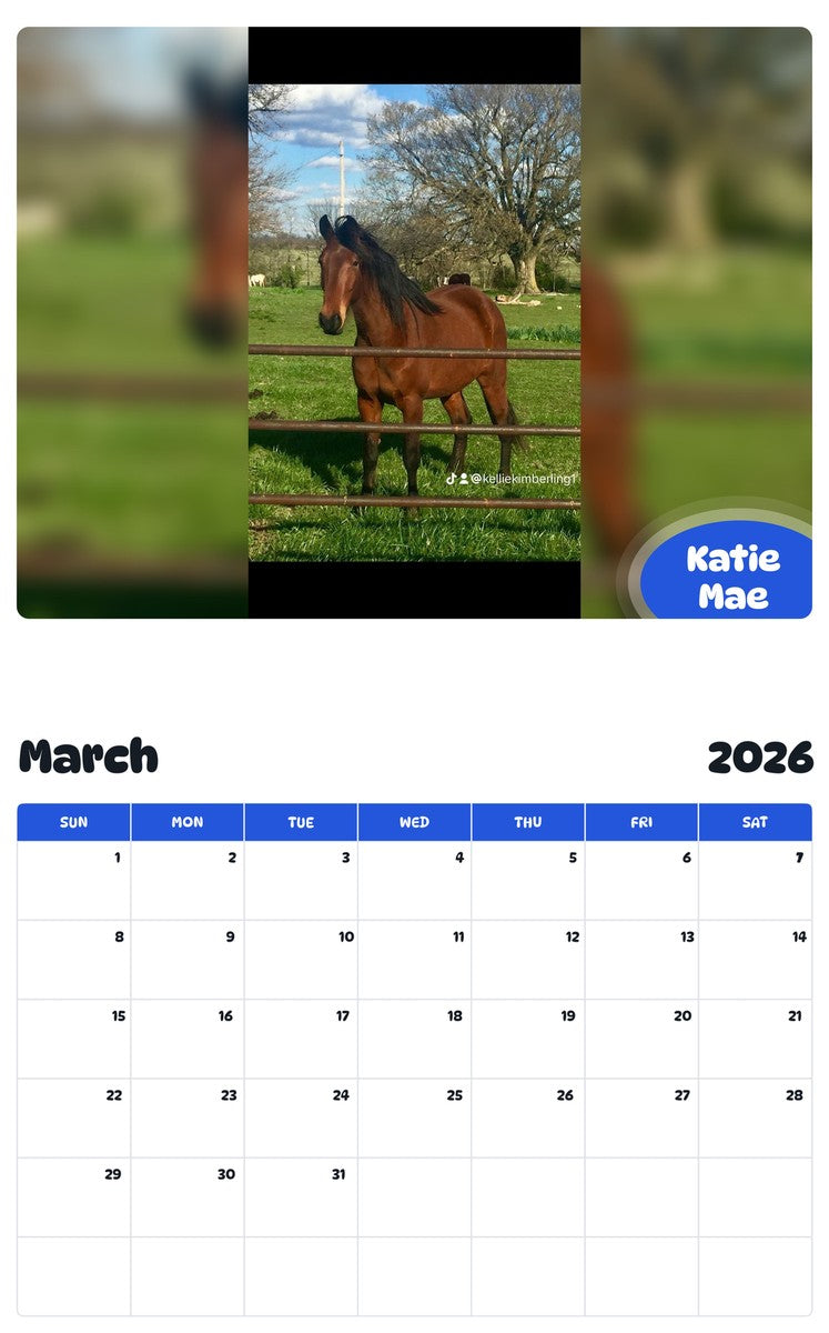November 2025 - October 2026 Katie Mae - Pawidols Pet Calendar