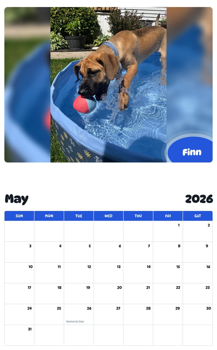 2026 - 2027 Finn - Pawidols Pet Calendar