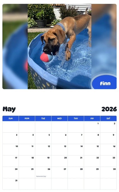 2026 - 2027 Finn - Pawidols Pet Calendar