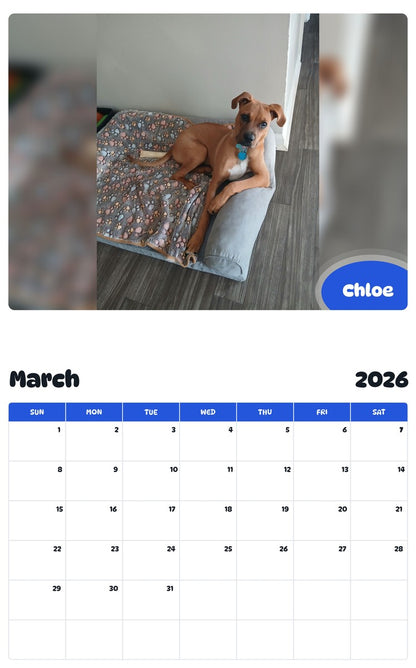 November 2025 - October 2026 Chloe - Pawidols Pet Calendar