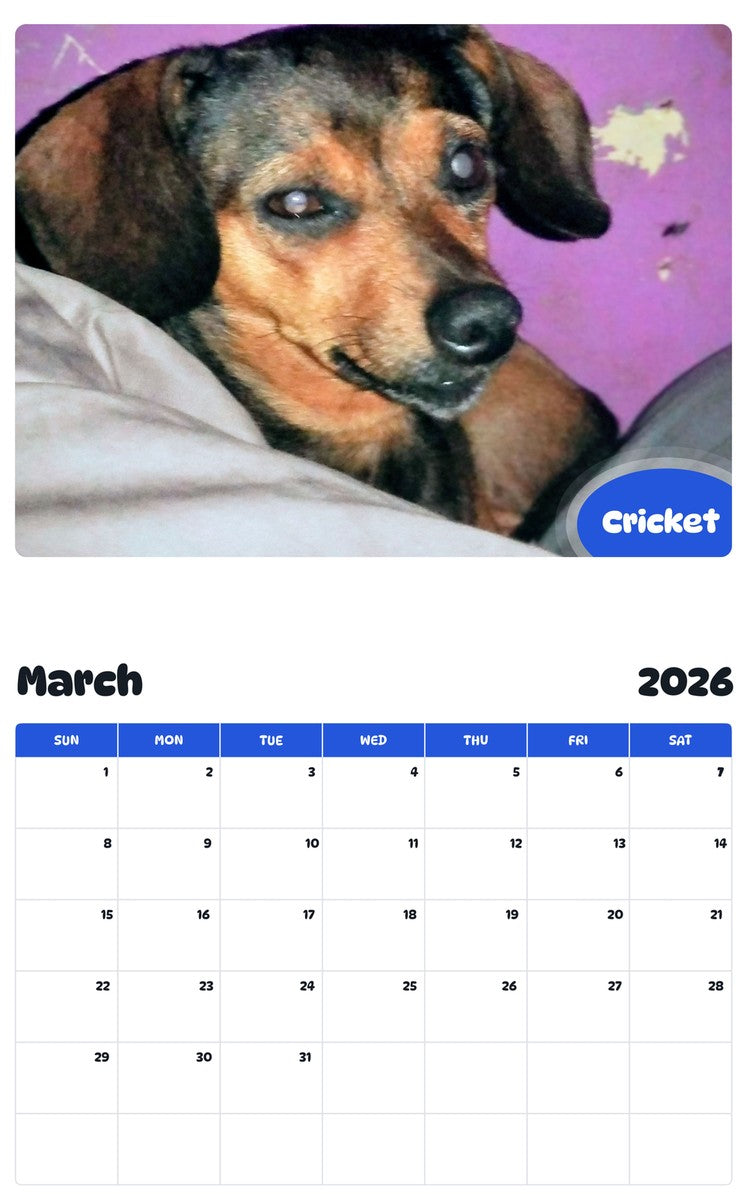 November 2025 - October 2026 Cricket - Pawidols Pet Calendar