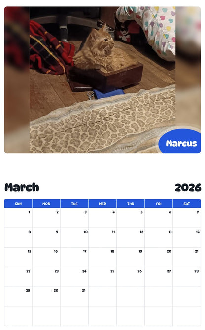 November 2025 - October 2026 Marcus - Pawidols Pet Calendar