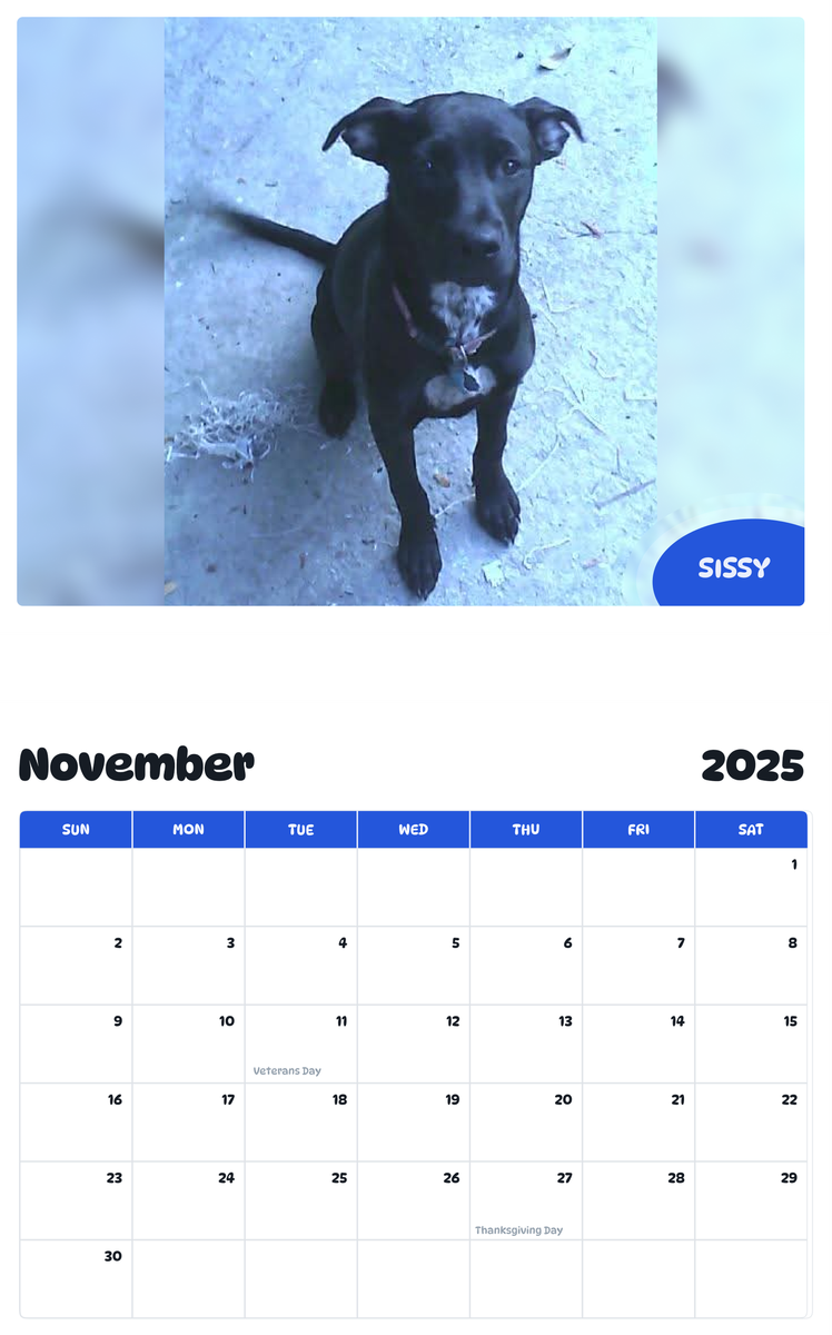 July 2025 - June 2026 Sissy - Pawidols Pet Calendar