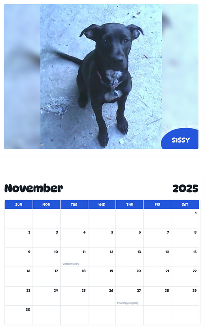 July 2025 - June 2026 Sissy - Pawidols Pet Calendar