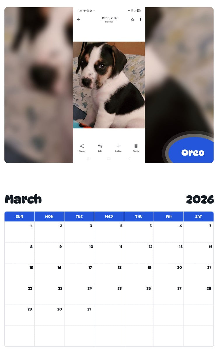 November 2025 - October 2026 Oreo - Pawidols Pet Calendar