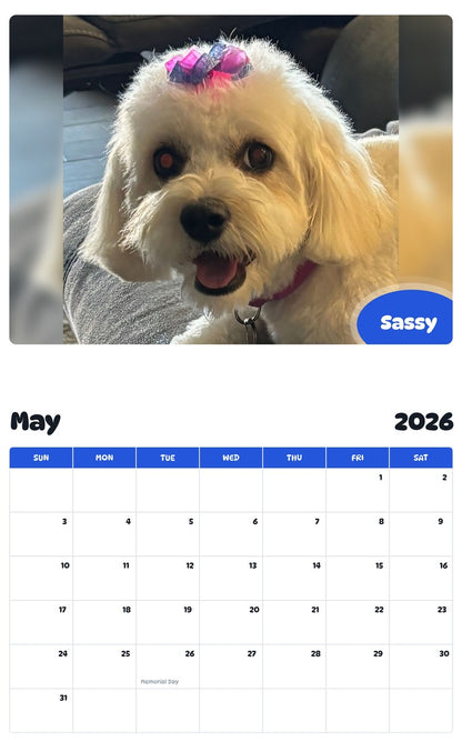 2026 - 2027 Sassy - Pawidols Pet Calendar