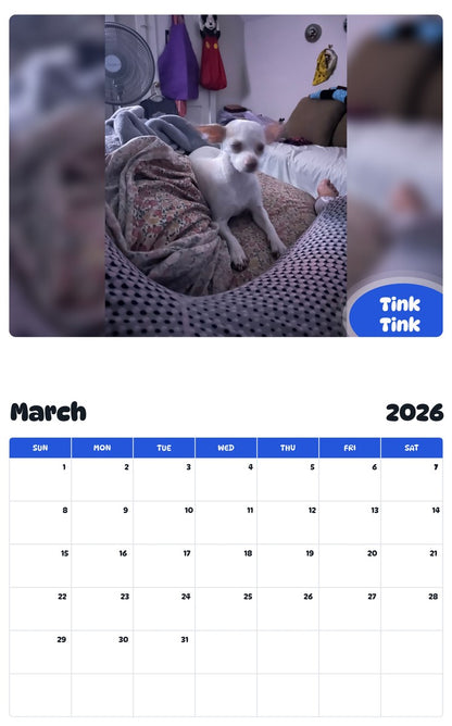 November 2025 - October 2026 Tink Tink - Pawidols Pet Calendar