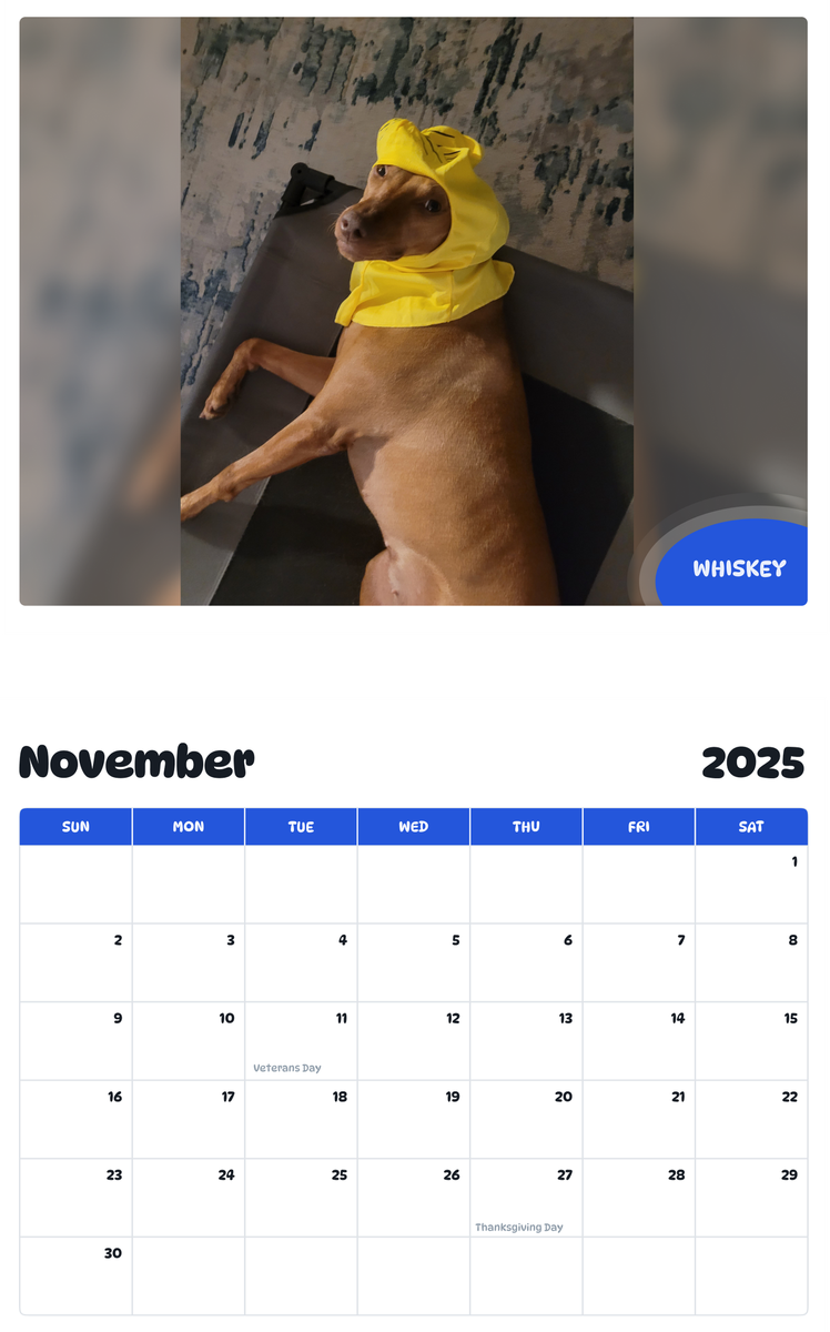 July 2025 - June 2026 Whiskey - Pawidols Pet Calendar
