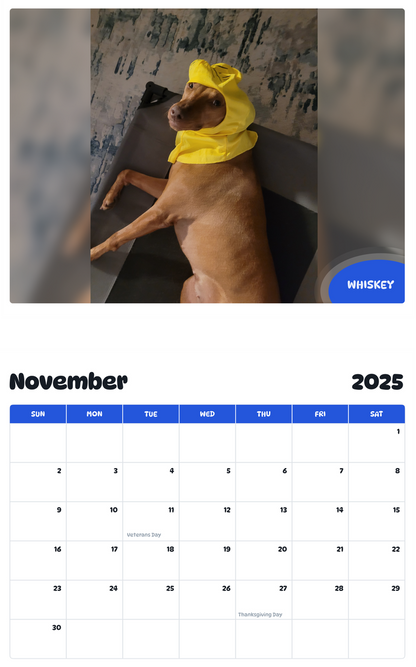 July 2025 - June 2026 Whiskey - Pawidols Pet Calendar
