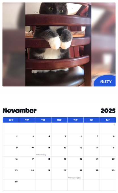 July 2025 - June 2026 Misty - Pawidols Pet Calendar