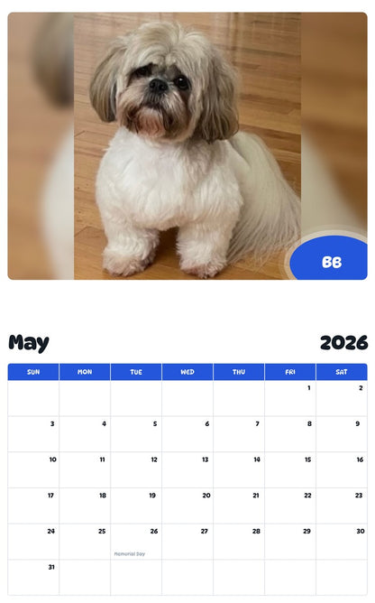 2026 - 2027 BB - Pawidols Pet Calendar