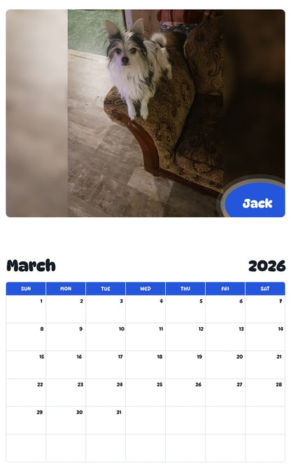 November 2025 - October 2026 Jack - Pawidols Pet Calendar