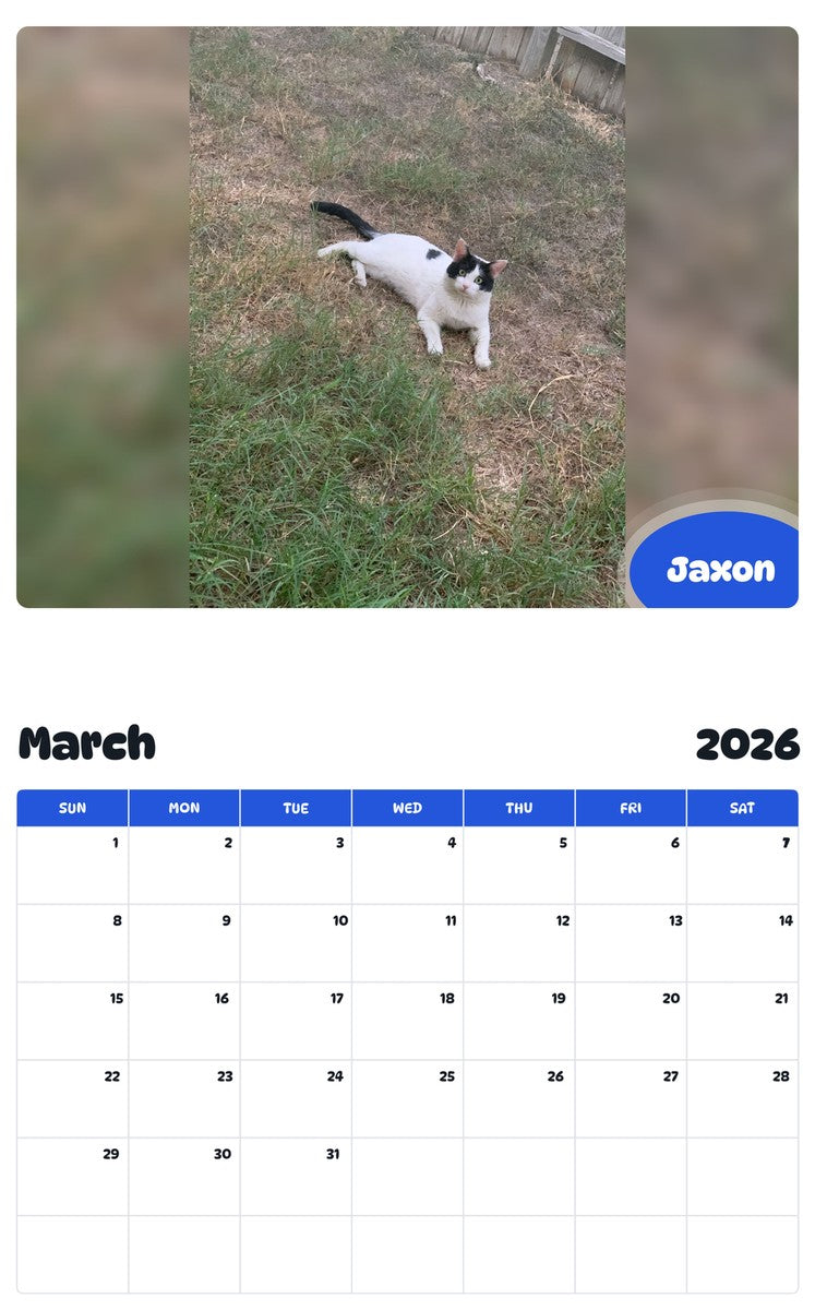 November 2025 - October 2026 Jaxon - Pawidols Pet Calendar
