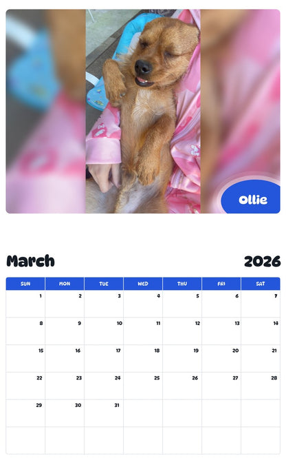 November 2025 - October 2026 Ollie - Pawidols Pet Calendar