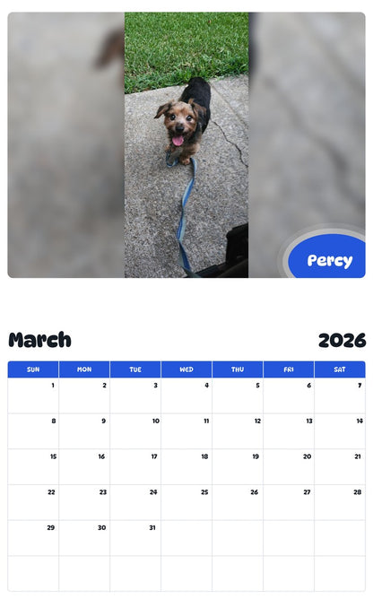 November 2025 - October 2026 Percy - Pawidols Pet Calendar