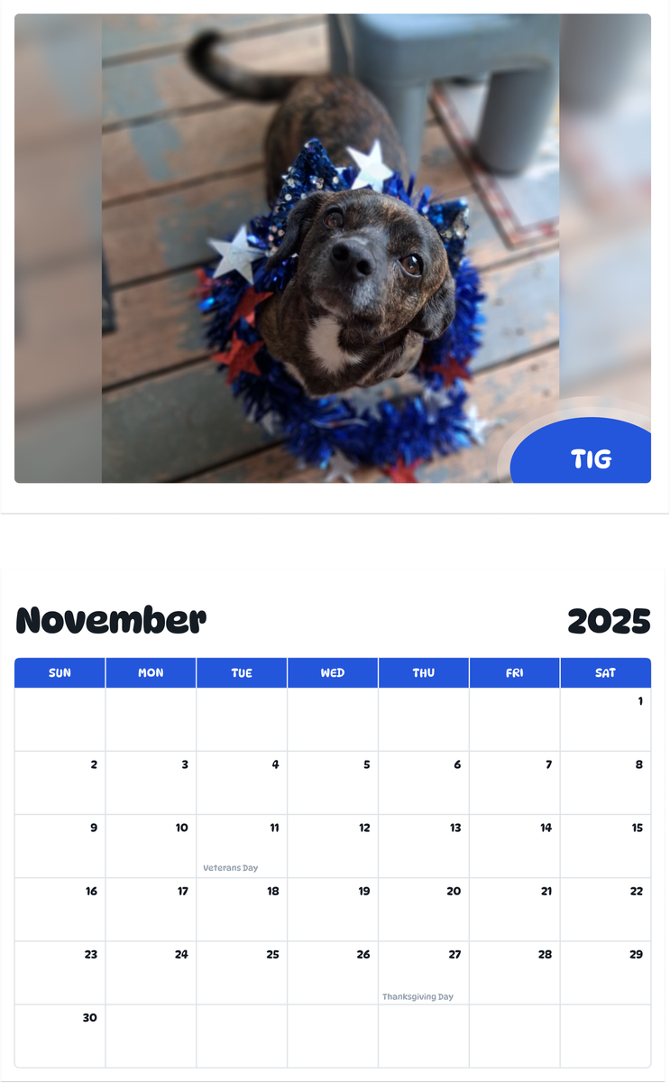 July 2025 - June 2026 Tig - Pawidols Pet Calendar