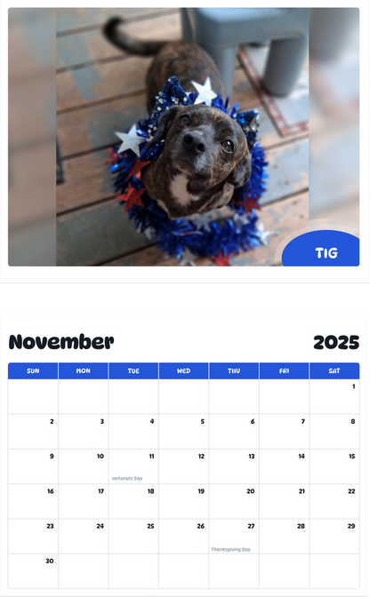 July 2025 - June 2026 Tig - Pawidols Pet Calendar