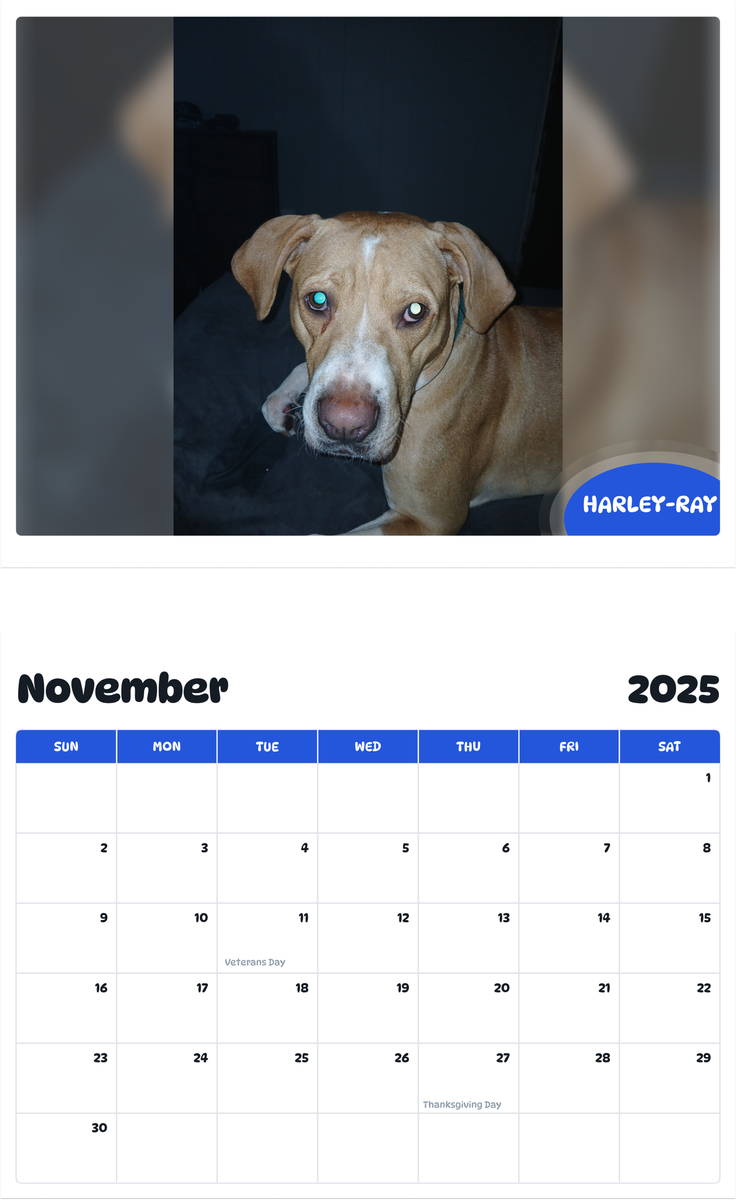 July 2025 - June 2026 Harley-ray - Pawidols Pet Calendar