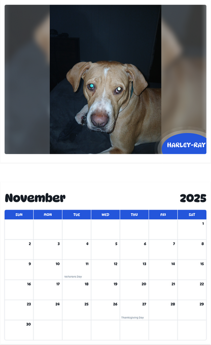 July 2025 - June 2026 Harley-ray - Pawidols Pet Calendar