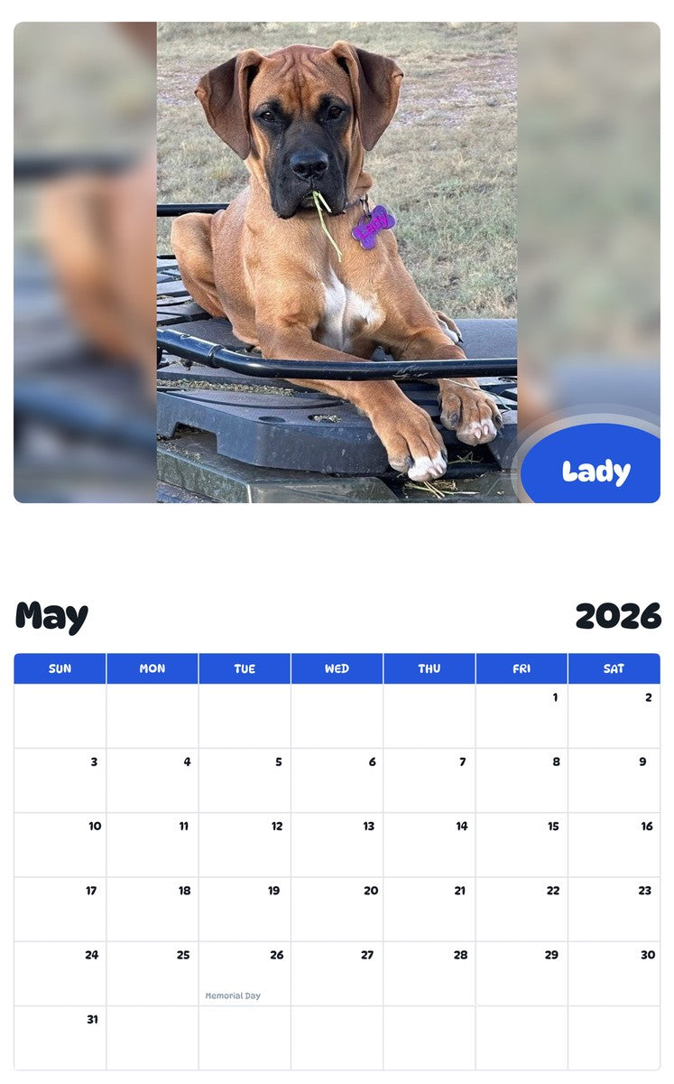 2026 - 2027 Lady - Pawidols Pet Calendar