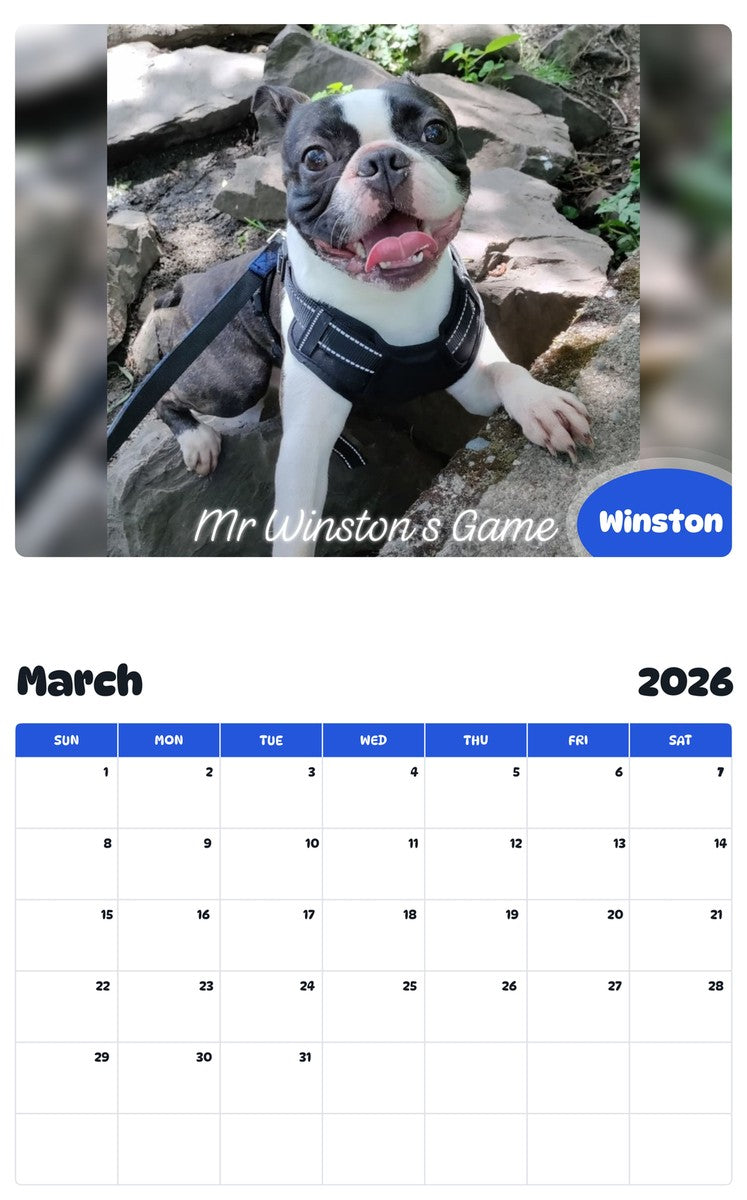 November 2025 - October 2026 Winston - Pawidols Pet Calendar