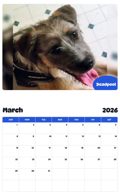 November 2025 - October 2026 Deadpool - Pawidols Pet Calendar