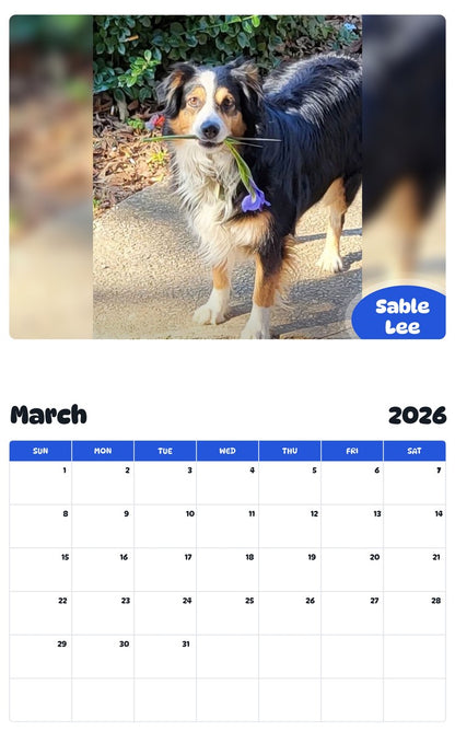 November 2025 - October 2026 Sable Lee - Pawidols Pet Calendar