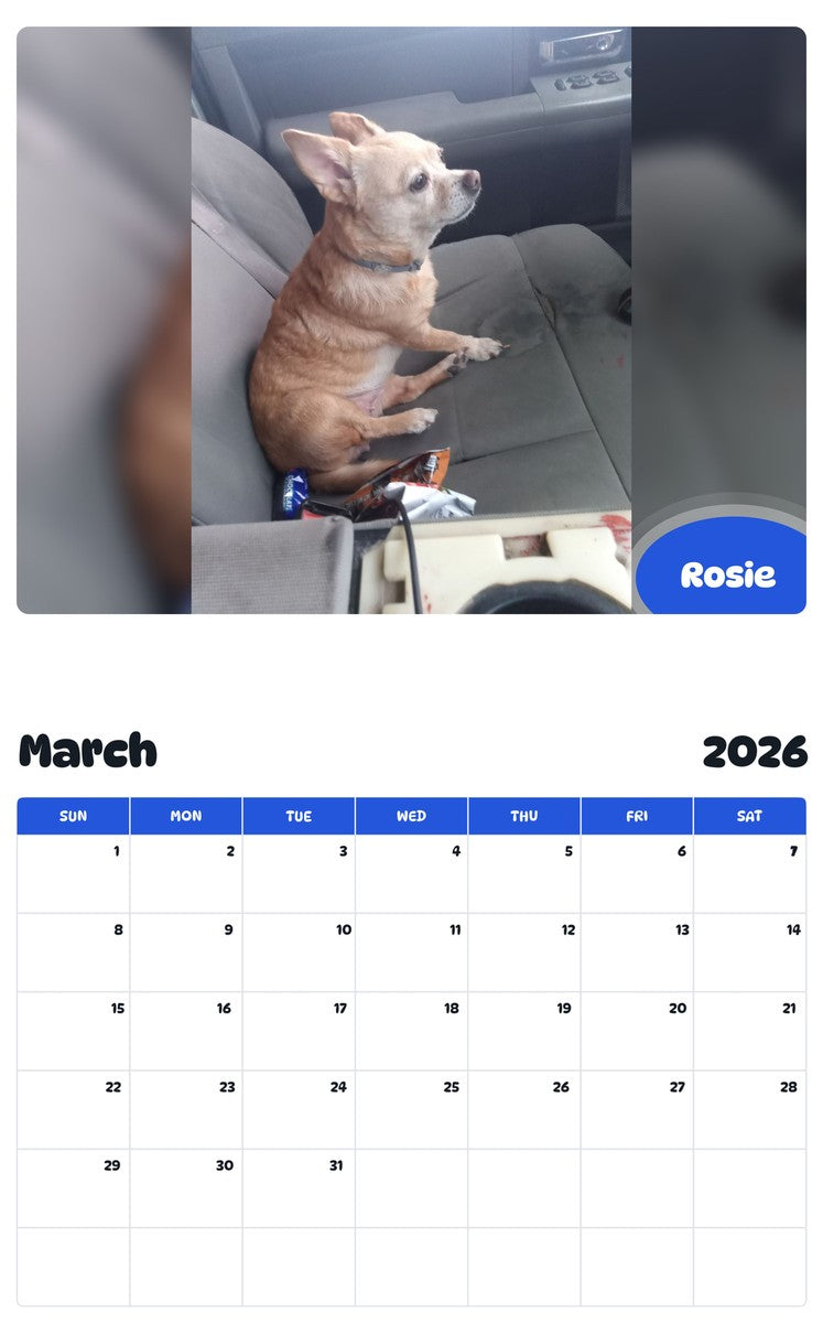 November 2025 - October 2026 Rosie - Pawidols Pet Calendar
