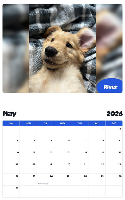 2026 - 2027 River - Pawidols Pet Calendar