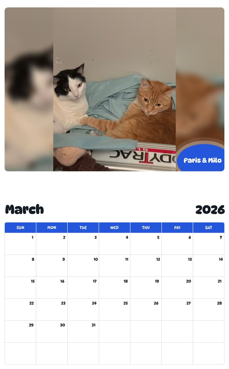 November 2025 - October 2026 Paris & Milo - Pawidols Pet Calendar