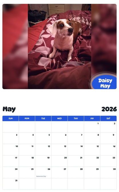 2026 - 2027 Daisy May - Pawidols Pet Calendar