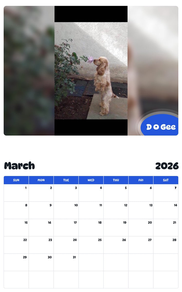 November 2025 - October 2026 D O Gee - Pawidols Pet Calendar