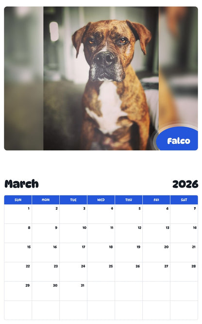 November 2025 - October 2026 Falco - Pawidols Pet Calendar