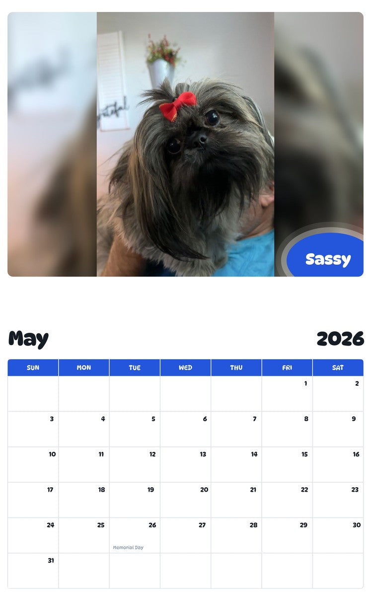 2026 - 2027 Sassy - Pawidols Pet Calendar