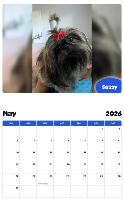 2026 - 2027 Sassy - Pawidols Pet Calendar