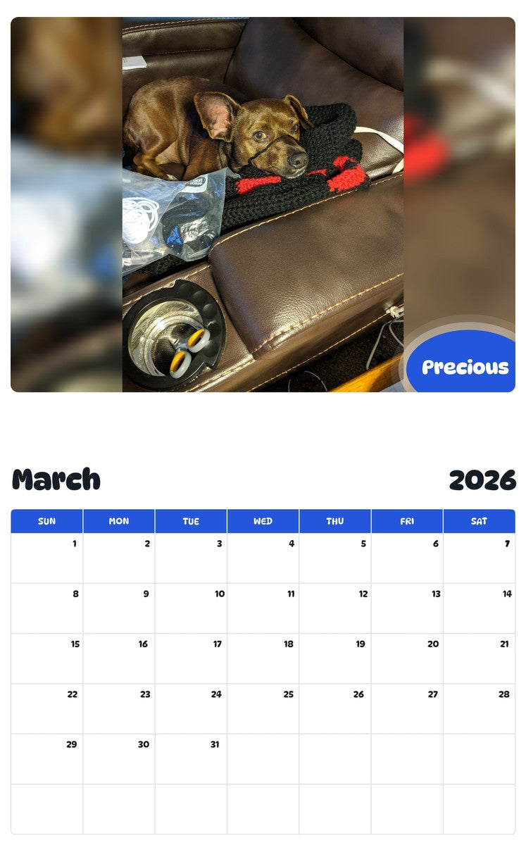 November 2025 - October 2026 Precious - Pawidols Pet Calendar
