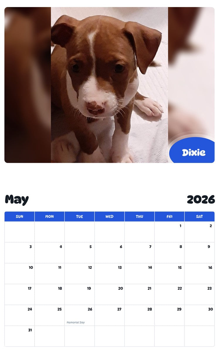 2026 - 2027 Dixie - Pawidols Pet Calendar