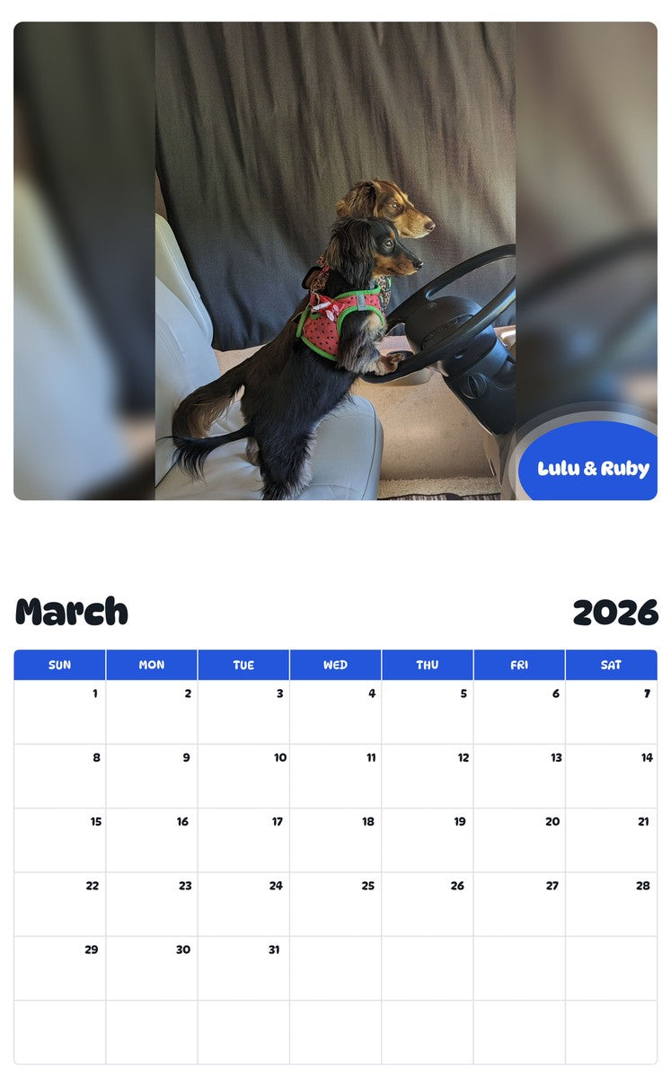 November 2025 - October 2026 Lulu & Ruby - Pawidols Pet Calendar