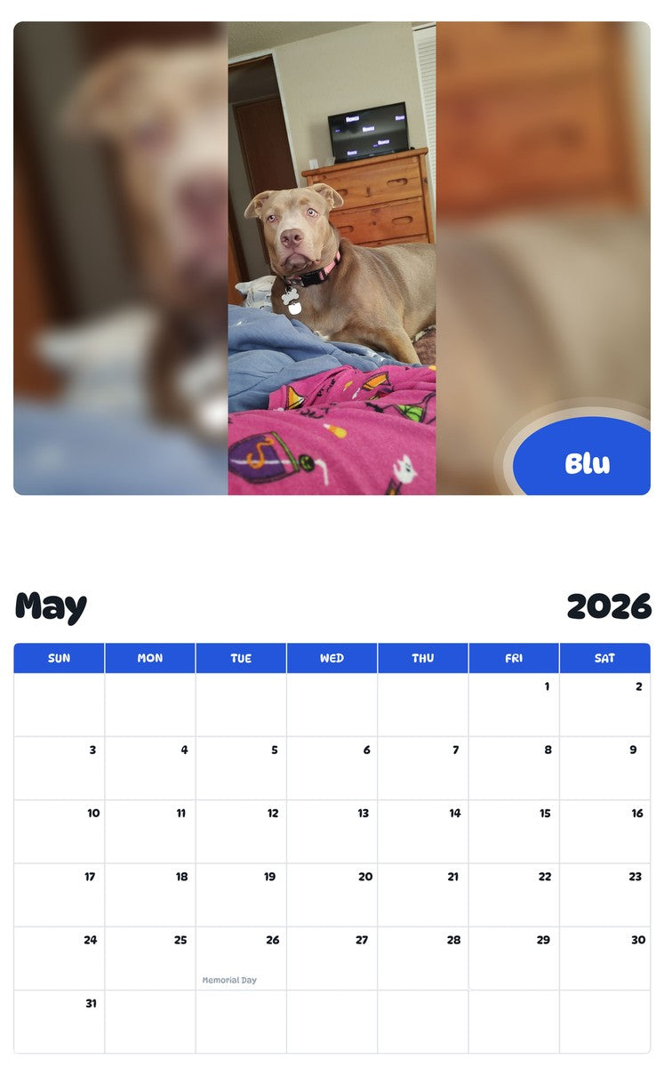 2026 - 2027 Blu - Pawidols Pet Calendar