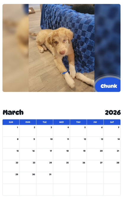 November 2025 - October 2026 Chunk - Pawidols Pet Calendar