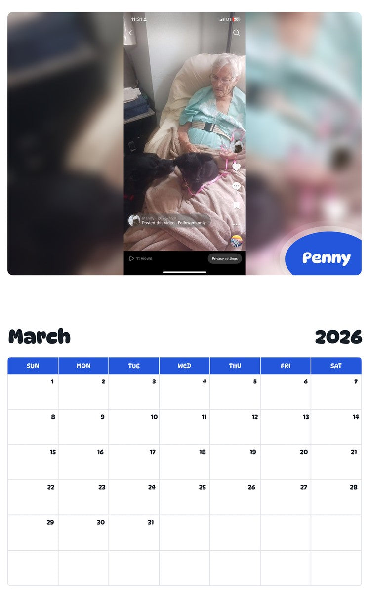 November 2025 - October 2026 Penny - Pawidols Pet Calendar